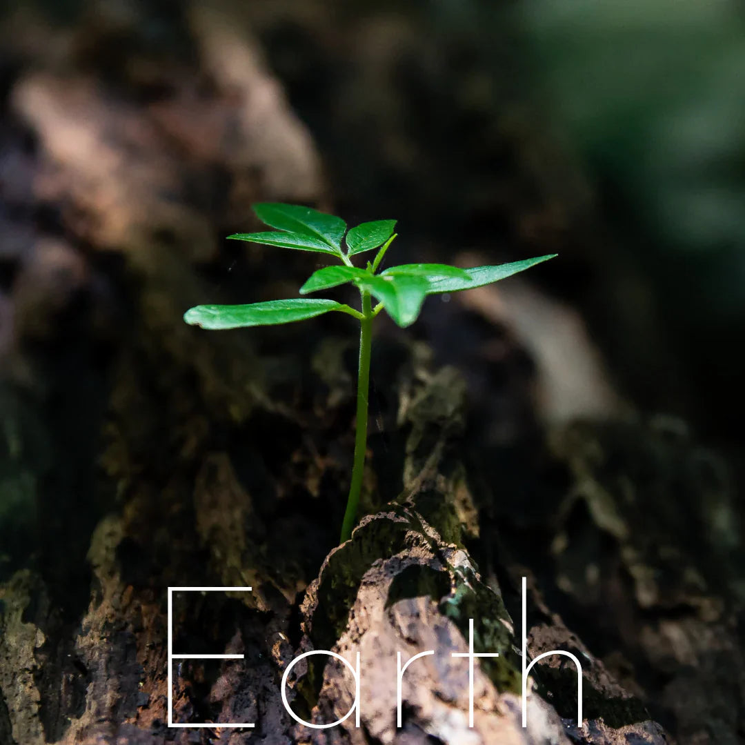 Earth Element